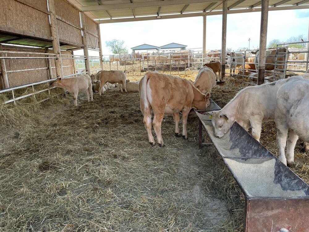 O nama | Ranč d.o.o.